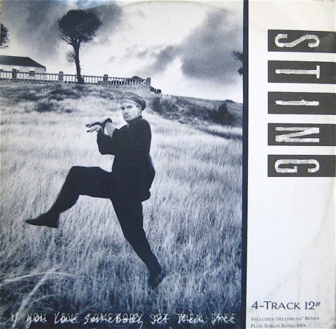 Sting: Dreaming of an expanded Blue Turtles deluxe edition