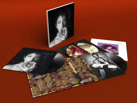 SDEtv / Kate Bush: Unboxing the remastered CD and vinyl box sets