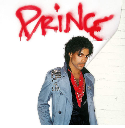 Prince CDコレクション まとめ売り Prince and the Revolution Lets Go Crazy Live 10 CD Box Set Purple