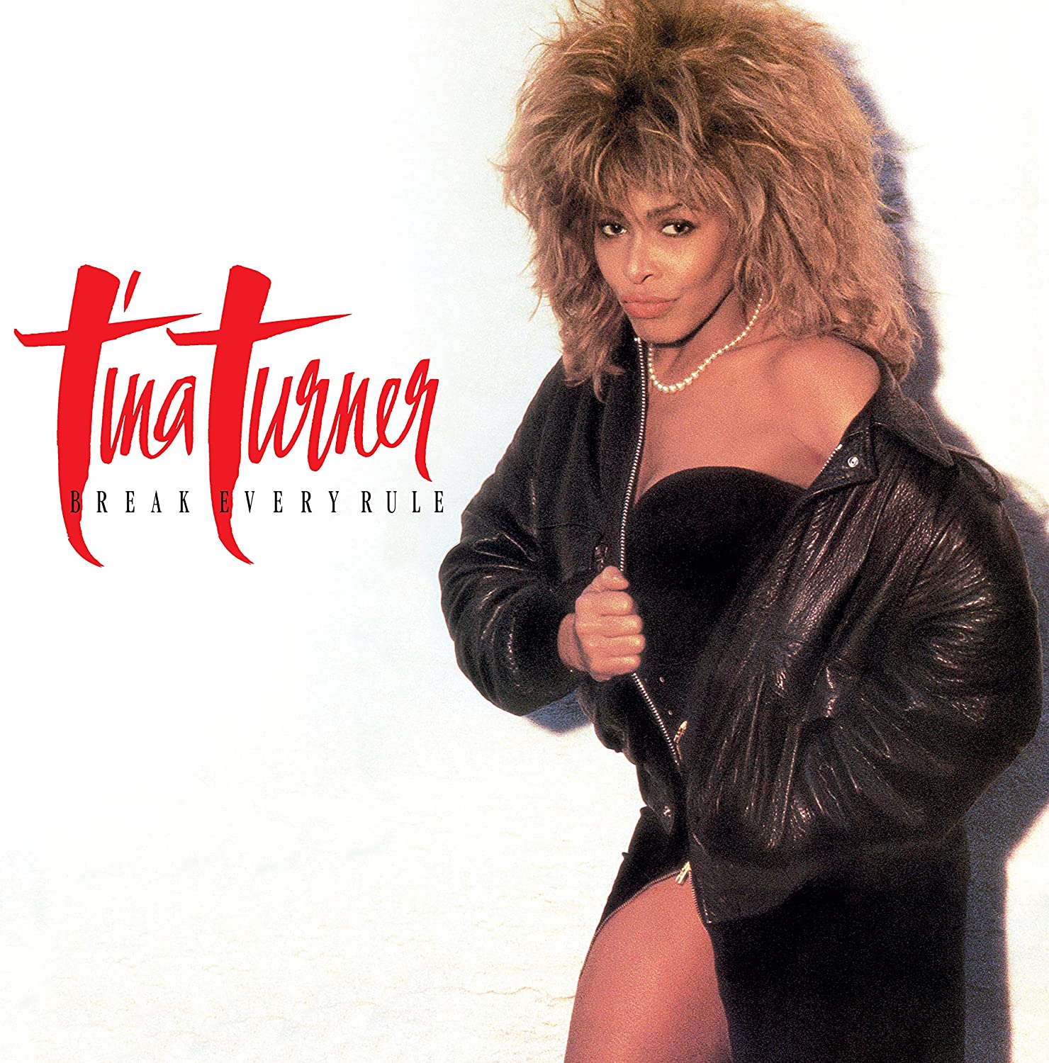 洋楽 Tina Turner Break Every Rule Deluxe Tina Turner / Break Every Rule deluxe reissue – SuperDeluxeEdition