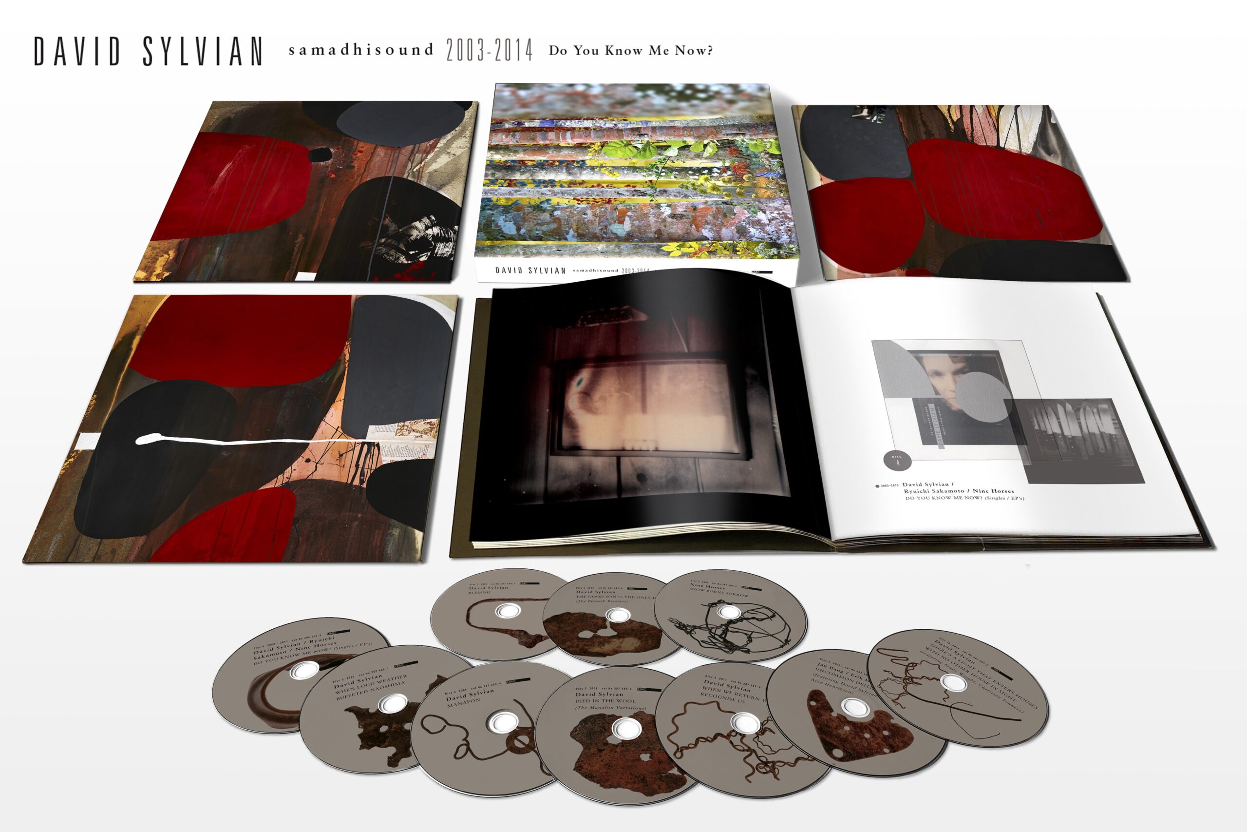 洋楽 Do You Know Me Now? (10CD) David Sylvian Amazon.com: Do You Know Me Now? – The Samadhisound Box Set : David