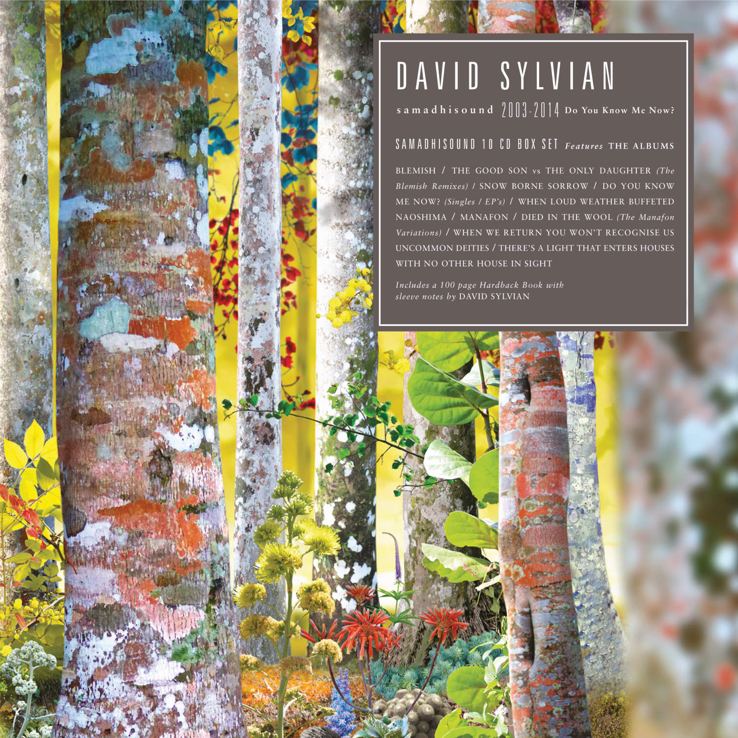 洋楽 Do You Know Me Now? (10CD) David Sylvian davidsylvian.com } David Sylvian “samadhisound 2003–2014 – Do You